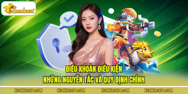Điều khoản điều kiện - Những nguyên tắc và quy định chính 