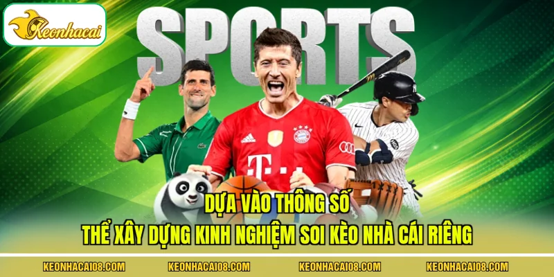 Kinh Nghiệm Soi Kèo Nhà Cái Qua Phân Tích 3 Yếu Tố Thực Tế 4 Dựa vào thông số thể xây dựng kinh nghiệm soi kèo nhà cái riêng